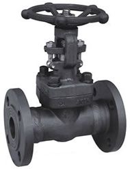 Z41Y鍛鋼法蘭閘閥(鍛A105材質) Z41Y鍛鋼法蘭閘閥(鍛A105材質)