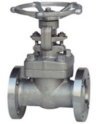 Z41Y鍛鋼法蘭閘閥(鍛304材質) Z41Y鍛鋼法蘭閘閥(鍛304材質)